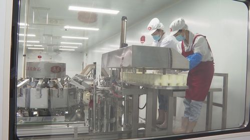 客家鹽焗 休閑食品市場新賽道，如何圈粉年輕人？